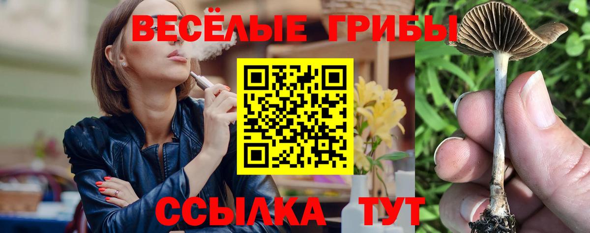 Бугуруслан  Галлюциногенные грибы MAGIC MUSHROOMS  Вход с VPN  Псилоцибиновые грибы мицелий 
