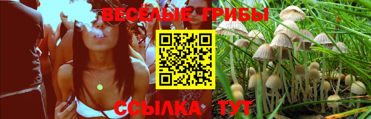 Псилоцибиновые грибы мухоморы Бугуруслан